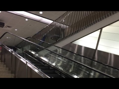 Svperior Dwells - Lead in Ur Eyes (Official Lyrics Edit)