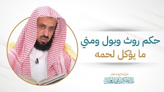 حكم روث وبول ومني ما يؤكل لحمه | د. عبد الحكيم العجلان image