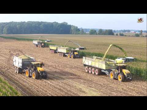 Chopping Corn Silage near Goshen Indiana | Zimmerman Family Harvesting