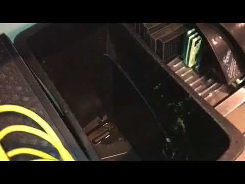 Fruit Fly Infestation Around the Bar in Edison, NJ