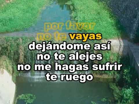 Sin Verte - Mariachi Garibaldi al estilo de Pedro Fernández - Karaoke