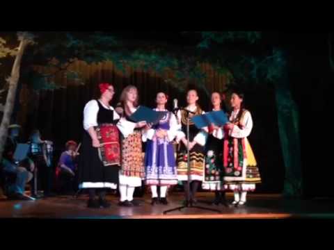 Vecheryai Rado - Вечеряй Радо Austin charity event