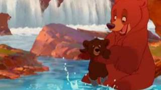 Bienvenido - Tierra de osos - Español Latino