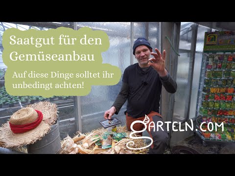 Tipps für den richtigen Umgang mit Saatgut - Darauf solltet ihr achten!