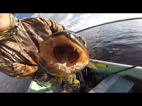 Snare Lake - Cochrane Air Service - YouTube