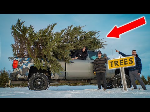 20ft Tree on Lifted Chevy Duramax!!