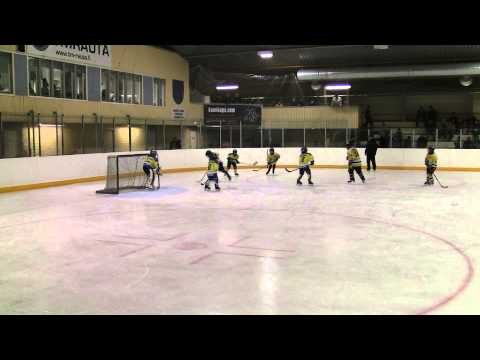 RuoSkA keltainen - PK 83 sininen 25.1.2014