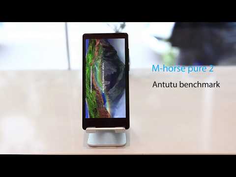 M-HORSE Pure 2, AuTuTu score