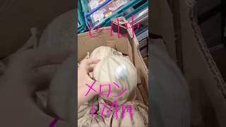 イギリスでなんとメロン１玉１７０円⁉️