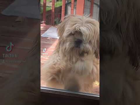 11 de octubre de 2023