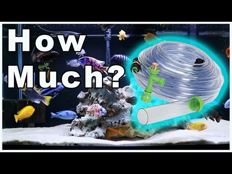 Fish Tank Water Changes 101: How Much Water Should You Change in Your Aquarium?