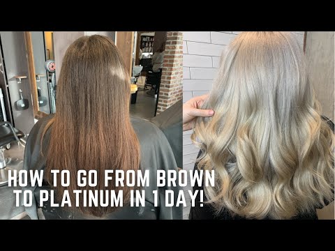 How to go from Brown to Platinum in one day - color correction tutorial transformation demi hair dye