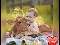 Pooranviram Song Love Sort Status ️
