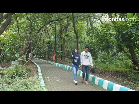 Hutan Kota Srengseng Hutan Kota Srengseng