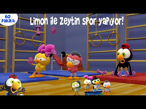 60 DAKİKA ÇİZGİ FİLM 😇🏋🏻‍♀️🤸🏻‍♀️#52 - Limon ile Zeytin Spor Yapıyor! 💪😇 | TRT Çocuk - Disney Channel