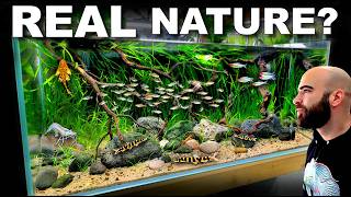 Is This A REAL Natural Aquarium?