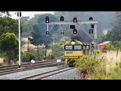 Trackside at Kilmore East loop