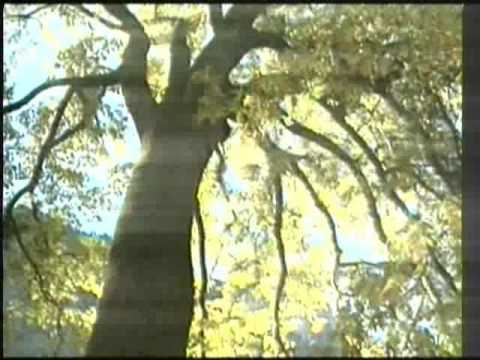 Reshat Arbana - Muaji i Ramazanit