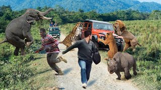 Scary Moments! Lions, Tiger, Rhino, Elephant Attack Cars And Tourists