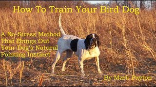 How To Train Your Bird Dog. A No-Stress Method To Bring Out The Dog