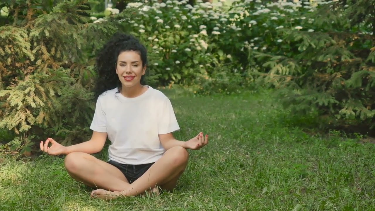 Dr. Joe Dispenza - Manifest Your Dream Life: 30-Minute Energy Alignment Meditation.