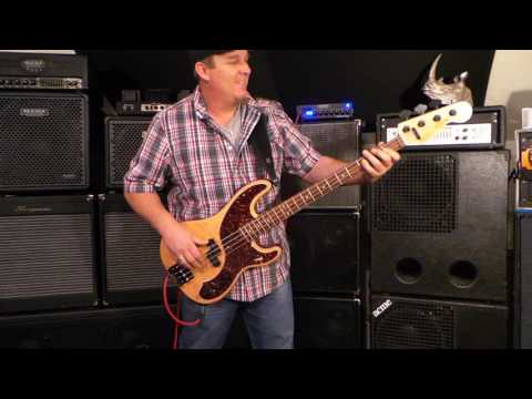 Nordstrand NP4v P pickup - Doner Designs Custom Bass - Andy Irvine