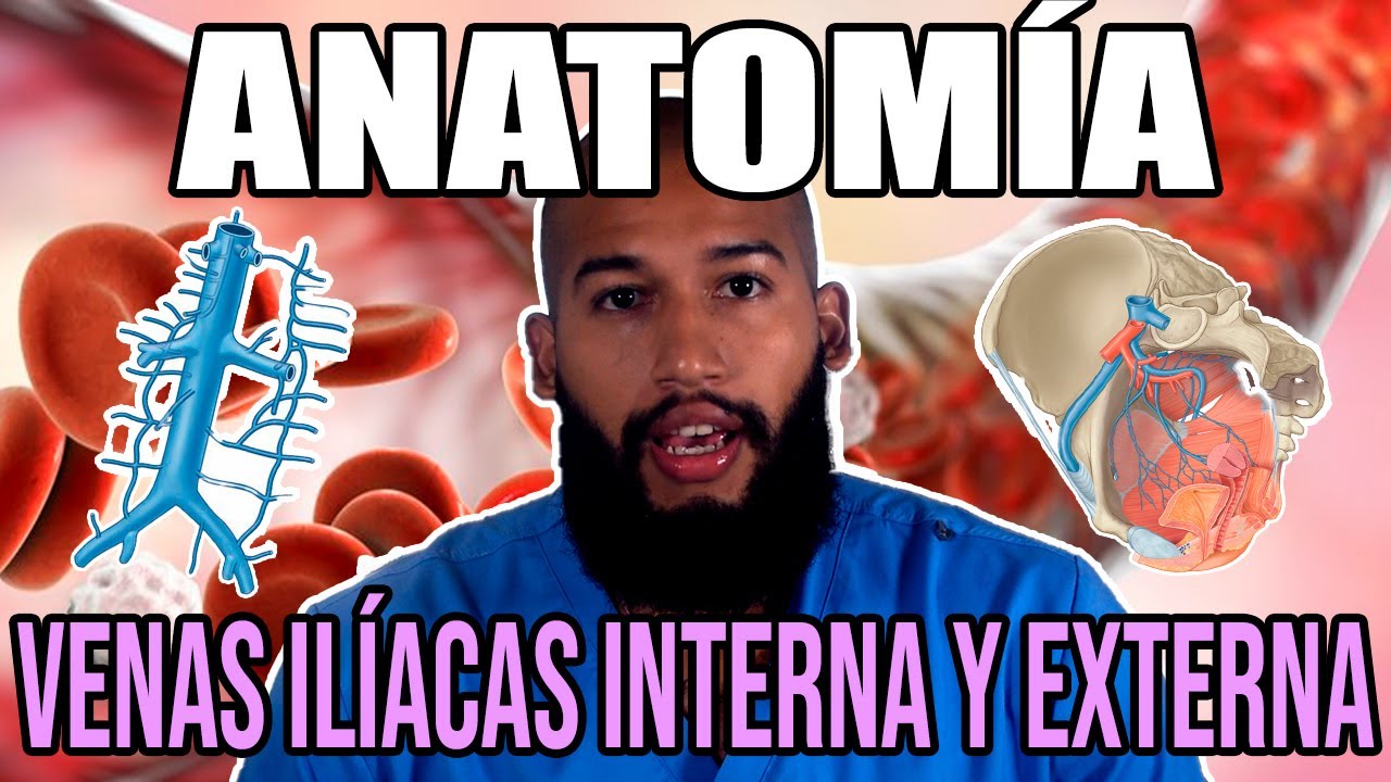 Anatomía de la PELVIS - Venas ILIACAS INTERNA y EXTERNA (Origen, Trayecto, Relaciones, Afluentes)