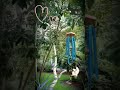 wind chimes for people who like their neighbors soothing tones 😍♬ product info in description ♬🤩