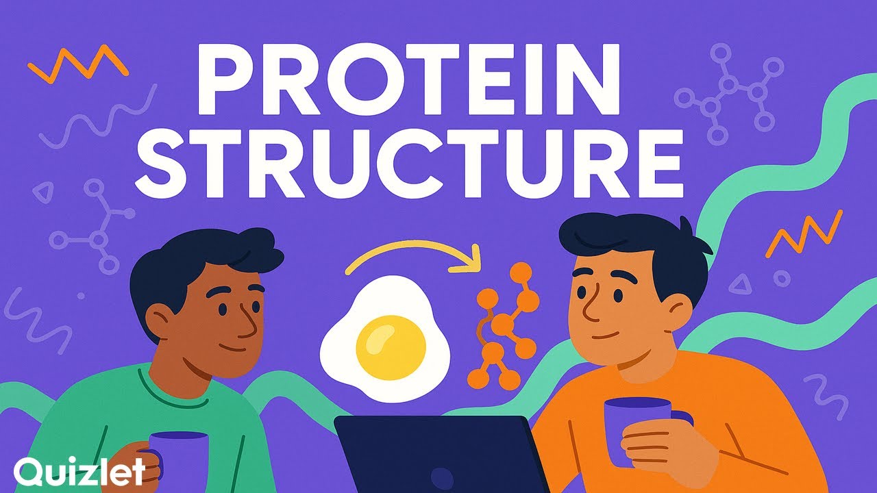 Protein Structure Overview | Biology (Amino Acids, Folding and Function Explained)
