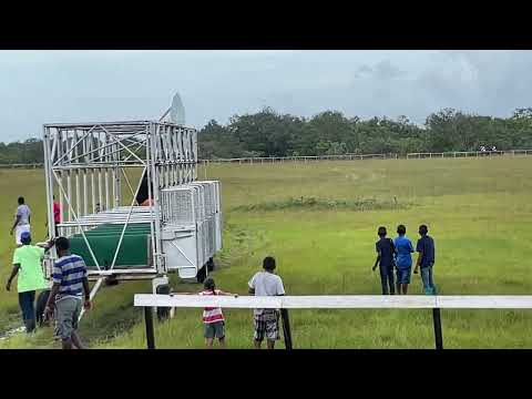 Horse Race Castleton Race Track July 31, 2022 A Class TBS 6 Furlongs