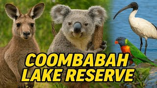 Birding Australia / Avistamiento de Aves #wildlife.