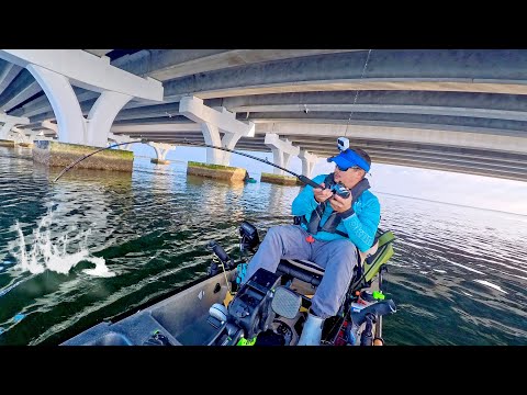 "I Caught The BIGGEST I've Ever Seen, Then DISASTER Struck!"