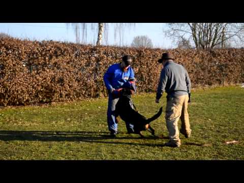 Schutzdienst 16.03.13 Teil 1