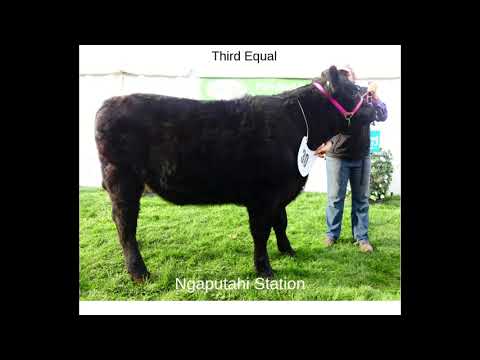 2019 FBNZ Hook + Overall Results