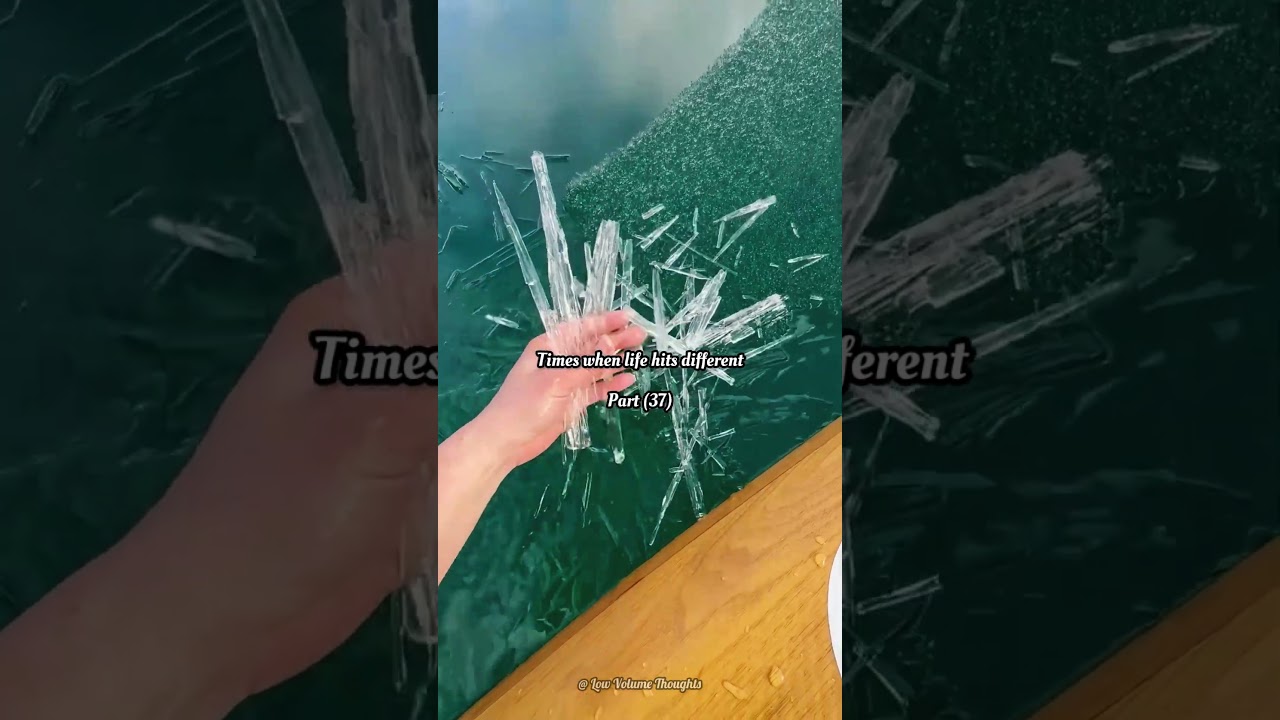 Which one is your favourite? ❄️✨