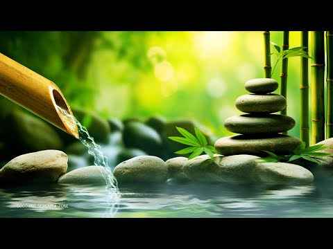 Relaxing Piano Music 24/7 - Bamboo, Relaxing Music, Yoga, Zen, Meditation Music, Nature Sounds