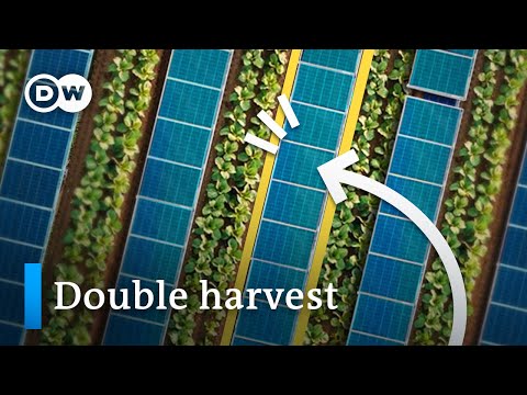 Why we should be putting solar panels on our fields and lakes