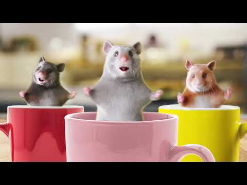 Dedoles.cz - Pravá neni jako levá, ale jim to neva - remix