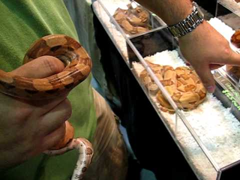 YouTube Video 2hx5TYXgziY