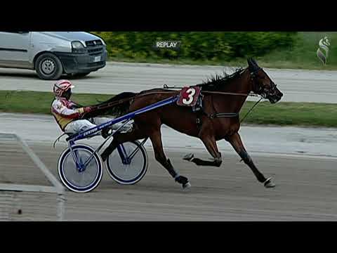 Aversa trotto 14 Aprile 2021 - 2° Corsa