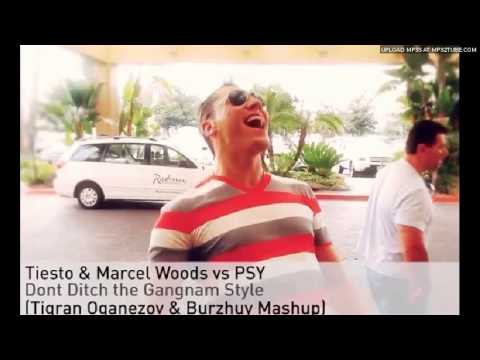 Tiesto & Marcel Woods vs PSY - Don't Ditch the Gangnam Style