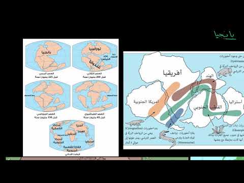 الصف الحادي عشر العلوم العامة علوم الكون والفلك قارة بانجيا