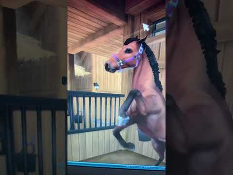 Wie meine Pferde singen || Spielt ihr oft RRP? || #sso