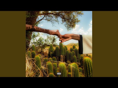 ALL TH3 KNOWL3DG3 // R3 TS3N3.