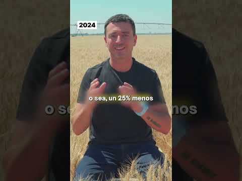 Asi está la situación respecto a la seguridad en el departamento de Río Segundo en Córdoba