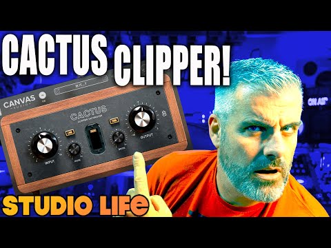 CLIPPER WITH ADDED SATURATION? YES PLEASE  -  CANVAS AUDIO CACTUS!