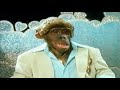 PG TIPS MONKEY ADVERT Blind Date UK TV COMMERCIAL