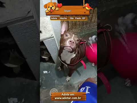 Vídeo de logan