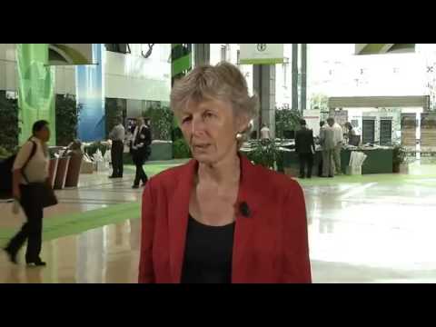 Russia's forests  challenges and opportunities