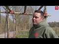 Survivalrun Norg treft coronamaatregelen